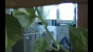 Żona sex darmowe filmy mamuski dostaje w dupę.