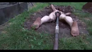 Pomóż macochy urozmaicić życie sex filmy darmowe intymne.