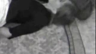 Gruba kobieta zdradza męża z młodymi sex film darmo ludźmi i płonie.