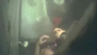 Studentka Yumi Shin ssie i ujeżdża sex polski darmo kutasa nauczyciela.